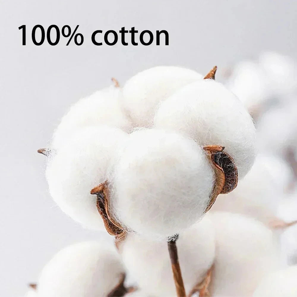 Interesting Quotes From Coffee Enthusiast Shirts, Men's and Women's Summer Pure Cotton Short Sleeves, Fashionable Loose T-shirts
